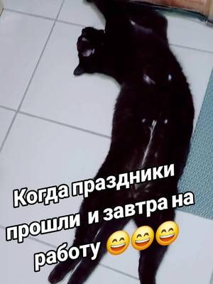 A post by @evgesha291292 on TikTok caption: #voronezh36rusya🇷🇺 НА МЕЧТУ @8@9@3@-0_-4-_0_-1_-7_-9_-_1_-5@#