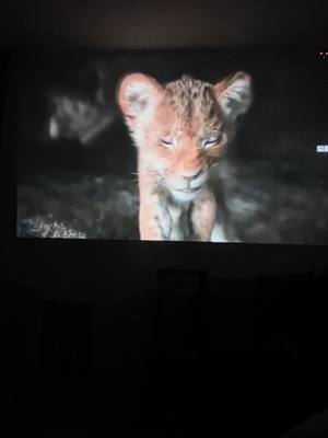 A post by @sweetsouthernmomof2 on TikTok caption: I do not own rights to this sound. Please go get this projector! It’s just like being at the movies! 