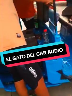 A post by @harry_audio on TikTok caption: DESDE ESE DIA EL GATO SE DESAPARECIÓ 😆#audio #viral #parati #parati #parcona #ica #chincha #pisco #sanclamente #palpa #lima3R #ica3r #paratiiiiiiiiiiiiiiiiiiiiiiiiiiiiiiiiii🦋 #birall #motoaudio #caraudio 