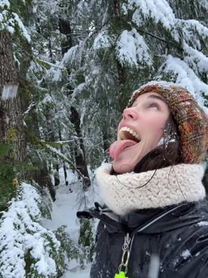 A post by @only_emily30 on TikTok caption: Catching snowflakes has still got to be one of my all time favourite winter activities! Especially the big ones when it’s super wet out! ❄️❄️❄️ #catchingsnowflakes #snowflakes #snowing #snow 