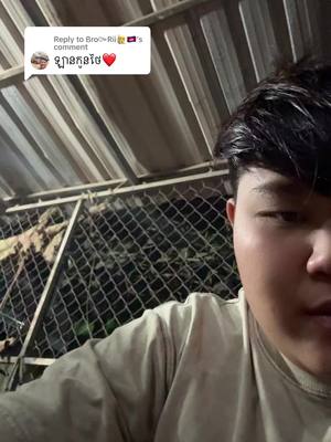 A post by @nhanha059 on TikTok caption: Replying to @Bro៚Rii🙋🇰🇭 #VoiceEffects 😹😹😹😹😹😹😹#ស្រលាញ់ការរាប់អាន🔰🚥🚚🔰 