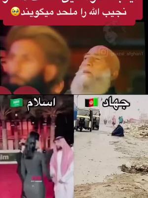 A post by @haji_alex on TikTok caption: #afghan❤️❤️❤️🇦🇫🇦🇫🇦🇫❤️❤️❤️🐅🐅🐅🐅🐅🐅🐅🐅🐅🐅🐅🐅 #foryoupage 