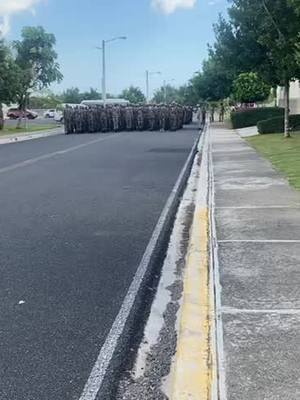 A post by @chico_romero on TikTok caption: Infantes de Marina *Los mejores* Att: Los 300. #infanteriademarina🇲🇽⚓ #armadadominicana #los300espartanos  @Jsuriel @QUEZADA 𝕬.🧑🏿‍✈️ @Jonathan LM 