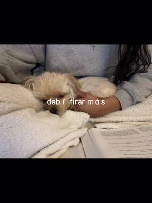 A post by @christyyyann on TikTok caption: God blessed me with your  brother but I still miss you everyday💔 #dtmf #CapCut #fyp #paratii #imissyou #dogsoftiktok #badbunny #debitirarmásfotos 