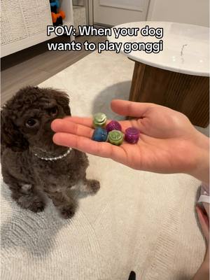 A post by @inakimieee on TikTok caption: How to play gonggi 👇 1. Round 1: Drop the stones and pick them up one by one. 2. Round 2: Drop the stones and pick them up two by two. 3. Round 3: Drop the stones, pick three up, and get the remaining one. 4. Round 4: Throw one stone in the air, set the other four pieces down and catch the airbone stone. Then, throw the same stone again and pick up the four stones on the floor.  5. Round 5: Throw all the pieces into the air and try to catch as many as you can with the BACK of your hand. Then, toss the pieces resting on the back of your hand and try to catch as many as possible.  *Each person takes a turn trying to complete the rounds. If a player messes up, they must give the stones to the next player.  #gonggi #squidgame #koreangame #howtoplaygonggi #koreanculture 