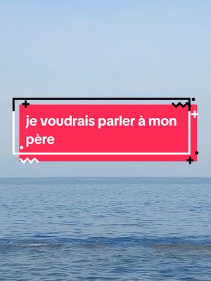 A post by @francais.arabic2 on TikTok caption: je voudrais parler à mon père.... #apprendrelefrançais #capcut_edit #papa #ciline_dion #chonsan #je_voudrais_oublier_le_temps #تعلم_اللغة_الإنجليزية #mon_pere #apprendresurtiktok #france🇫🇷 #france #paris #oldsong #france🇫🇷 