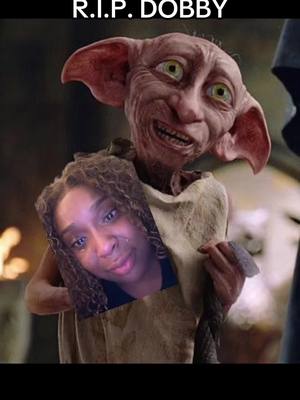 A post by @kierralewis75 on TikTok caption: you’ll be missed Dobby 💔#harrypotter 