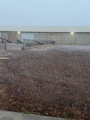 A post by @agromenon on TikTok caption: Nevada en ahumada chihuahua #clima #nevada #nieve #frio #chihuahua 