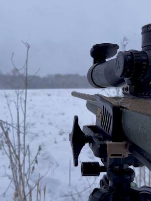 A post by @trxpychris on TikTok caption: Clean AF ❄️🥶😮‍💨 #Ruger #coyotehunting #snow #oklahoma #arkenoptics #americanpredator 