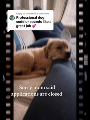 A post by @the_winnie_city on TikTok caption: Replying to @baelien96 this position has been filled ☺️