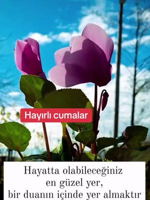 A post by @allahbizeyeter68 on TikTok caption: #hayırlıcumalar🌹🌺🌺🌷💖 