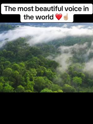 A post by @ on TikTok caption: #fyp The most beautiful voice in the world#❤️☝️❤️🥰🥰🥰🥰😘 