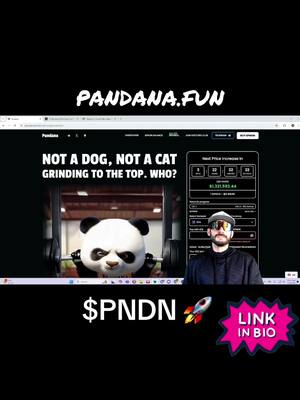 A post by @degenlifer on TikTok caption: 🔥 @Pandana 🚀 $PNDN is the first panda memecoin breaking into the meme elite, leaving dogs, cats, and frogs behind #crypto #partner #memecoin #solana #SOL #solanamemecoin #cryptocurrency #Memes LINK IN BIO!