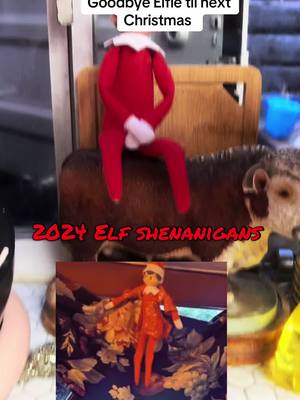 A post by @then.theres.mom on TikTok caption: #theelfontheshelf #2024 #tilnextyear #elfmemories