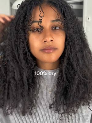 A post by @aissa.stjean on TikTok caption: From wet to dry #fyp #hair #curls #curly 