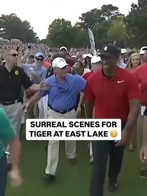 A post by @teeboxtreasures on TikTok caption: 🏆🐅 We may never see a crowd like this one again from Tiger's 80th win on TOUR #golf #golfer #golftiktok #pro #PGATOUR #victory #tour #tiger #tigerwoods