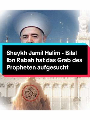 A post by @bilal_al_habashiyy on TikTok caption: #islam#muslim#islamic#islamic_video#islamic_media#islamicreminder#wahhabiten#sekte#wahhabitensekte#gibwahabitenkeinechance#aIlahexistswithoutaplace#allahexistiertohneort#allah#Alhamdulillâh#fawzan_shaikh#sheikhfawzan#ibnbaz#ibntaymiyyah#alalbaniyy#muhammadibnabdulwahhab#ibnkathir#ibnuthaimin#othmankhamis#Wahhabiyya#antiwahabi#antiwahhabiyya#tiktok#islamicvideo#islamtiktok#muslimtiktok#ahlusunnahwaljamaah#prophet#muhammad#prophetmuhammad#visit#the#grave#of#our#prophet#muhammad#fyp#fypviral#fypage#fypdongggggggg#foryou#fy#fürdich#fürdichseite##alhamdulillah#shaykhgillessadek#sheikhjameelhalim#walidelzein#bilal_al_habashiyy 