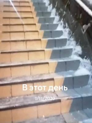 A post by @borodach68 on TikTok caption: #ВэтотДень #бородач #хулиган 