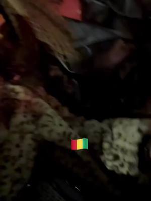 A post by @maryamtelle on TikTok caption: #cejour #tiktok #like #guineenne224🇬🇳 #sénégal @Salihou Jam 