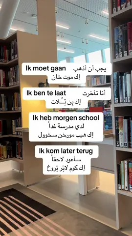 A post by @raymonddillmanalv on TikTok caption: #تعليم_اللغة_الهولندية #للمبتدئين #نتعلم_معاً #كل_يوم_جملة #الشعب_الصيني_ماله_حل😂😂 #اكسبلور #هولندا #امستردام 
