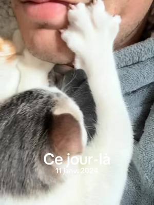 A post by @lesrazpoukets on TikTok caption: #cejour-là 