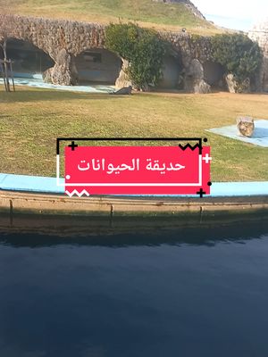 A post by @oum_mohamed54 on TikTok caption: #حديقة #الحيوانات #parati #pourtoi #españa #marruecos #fyp #foryou #foryoupage #foca #🇲🇦🇪🇦 