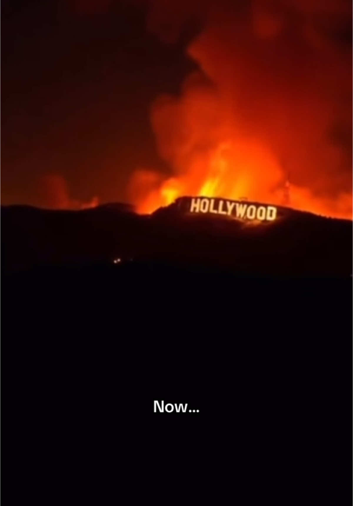 A post by @thehasankaplan on TikTok caption: who’s in hollywood🥺 more vids on IG:thehasankaplan #fyp #fire 
