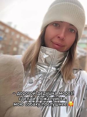 A post by @sherdochka on TikTok caption: tgk: sheerdogs #новокузнецк