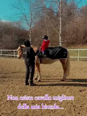 A post by @church2.0pro on TikTok caption: Ferdi, 3 anni....  Pisy sei qualcosa di unico e raro 💖🖤 #horsemanship #horse #equitazione #neipertee #perte 