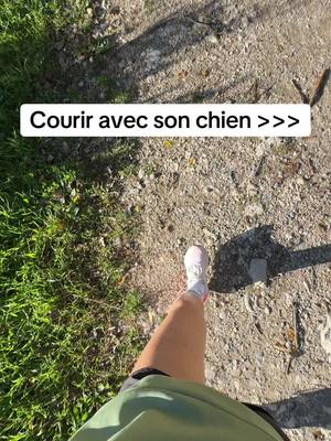 A post by @pauline_amd on TikTok caption: Meilleur partenaire 🐾 #dog #run #footing #foryoupage❤️❤️ 