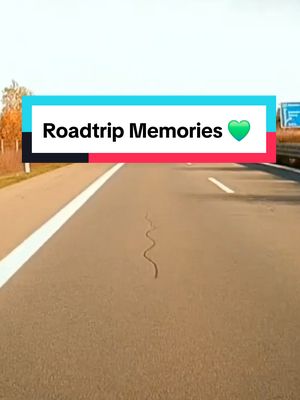 A post by @thedarkknight3210 on TikTok caption: Roadtrip Memories 💚 @TheDarkKnight 💚 Sieh dir dieses Video an & höre es unbedingt mit Kopfhörer 🎧 #autofahren #autobahn #autobahnfahren #Roadtrip  view profile travel germany recent viral videos Trend My Type Video Edit Broken Trust And Broken Hearts Trend i love tiktok trend Inspiration And Motivation vacation destinations beautiful places to travel tiktok viral sounds ohhhhhhhhhhhhh trend you don't even know my favorite flower I Love Trend Hear Me Out TikTok Trend how to grow a tiktok account 2024 season comes to an end 1000 likes on a video me finally being happy and enjoying life Most viral video Me in 2025