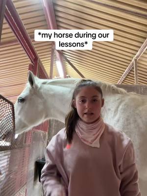 A post by @ashxxcooper on TikTok caption: doesn’t like being told what to do lol #horse #horses #horsesoftiktok #equestriansoftiktok #equestrianproblems #fyp #equestrian #horsegirl #horseshow 