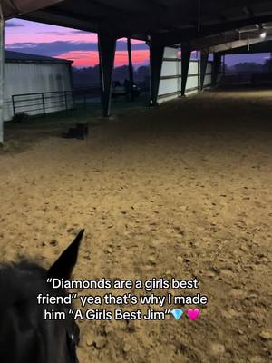 A post by @__hailey03__ on TikTok caption: In my very biased opinion I win this trend 💎   #equine #thoroughbred #baygelding #eventer #agirlsbestfriend #diamond #bestfriend #horse #gem #horsesoftiktok #tb #winning #trend #fyp #fypシ #richinlife 