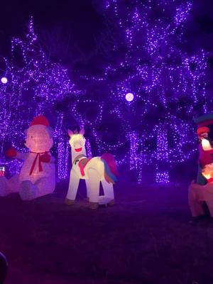 A post by @dandylion444 on TikTok caption: #carmelasmagicalsantaland #carmelassantaland #longveiwtexas 