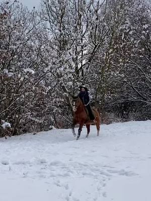 A post by @spickiee on TikTok caption: Momente wie diese… unbeschreiblich schön 💕 #equestrian #snow #winterwonderland #horses #spickiee #4you 