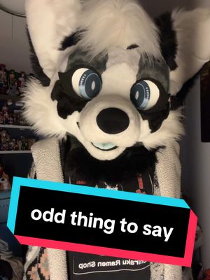 A post by @avaloafe on TikTok caption: when i tell you i was shocked to see that type of comment 😗✌️ [ #fyp #furry #furryfandom #furrytiktok #ily #fursuiter ]