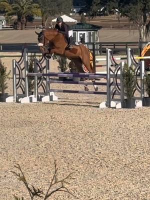 A post by @ariellag1234 on TikTok caption: Milo was super in the classic but I did not count so we had an unfortunate rail