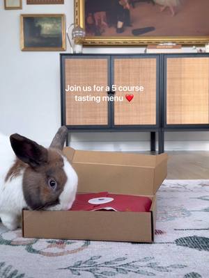 A post by @thebrekkiebuns on TikTok caption: A romantic 5-star, 5-course Valentine’s meal for two bunnies that stole my heart ❤️ In light of the ongoing wildfires in the LA area, we’re donating 10% of every Valentine’s Binky Bundle to support Zooh Corner Rabbit Rescue as they work to rebuild after devastating losses. The fires took everything—their home, medications, and supplies—but not their commitment to saving elderly and special needs rabbits. If you’d like to contribute directly, you can donate via: > Zelle: zoohgirl@gmail.com > PayPal: zoohcorner@mybunny.org Every little bit helps make a difference for bunnies in need🐇❤️