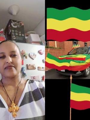 A post by @tigefanowa1 on TikTok caption: #duet with @➻እሷን➢💫 አዴራ🇨🇬 #አማራዬ💚💛❤አማራዬ💚💛❤ 