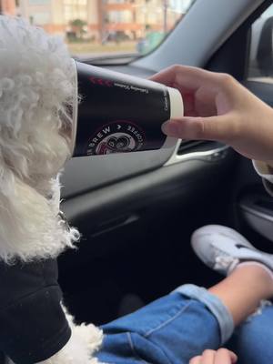 A post by @evelynastrid_ on TikTok caption: @7brewcoffee 