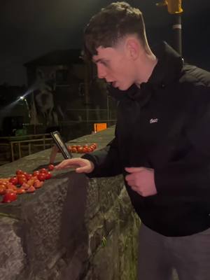 A post by @darraghomurchu on TikTok caption: The tomato bridge what a historical sight 🍅🥫👍 #funny #irish #trend #wow 