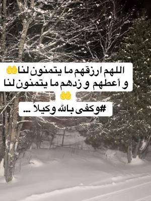 A post by @haifadigitalemarketing on TikTok caption: اللـهُـم مستقبلاً أعظم مما حلمت  ‏وحـيـاة ألـطـف مـمـا أردت  ‏اللهم توفيقاً و رضاً و حباً و خيراً ما حييت#نجاح #كندا🇨🇦 #viral_video #flypシ 