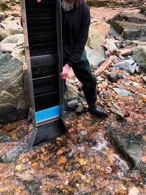 A post by @fishngold on TikTok caption: Monster Sluice Gold Prospecting #goldprospecting #oro #emas #goldrush #minerals #gemstones