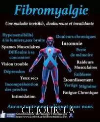 A post by @phoenixya9 on TikTok caption: #cejour-là #foryoupage #fyp #foryou #fibromyalgia #pourtoi 