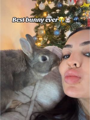 A post by @nataliadevera1 on TikTok caption: Bunny’s are the sweetest 😍🐰 #bunny #bunnysoftiktok #animal #Love #pets #viral #fyp 