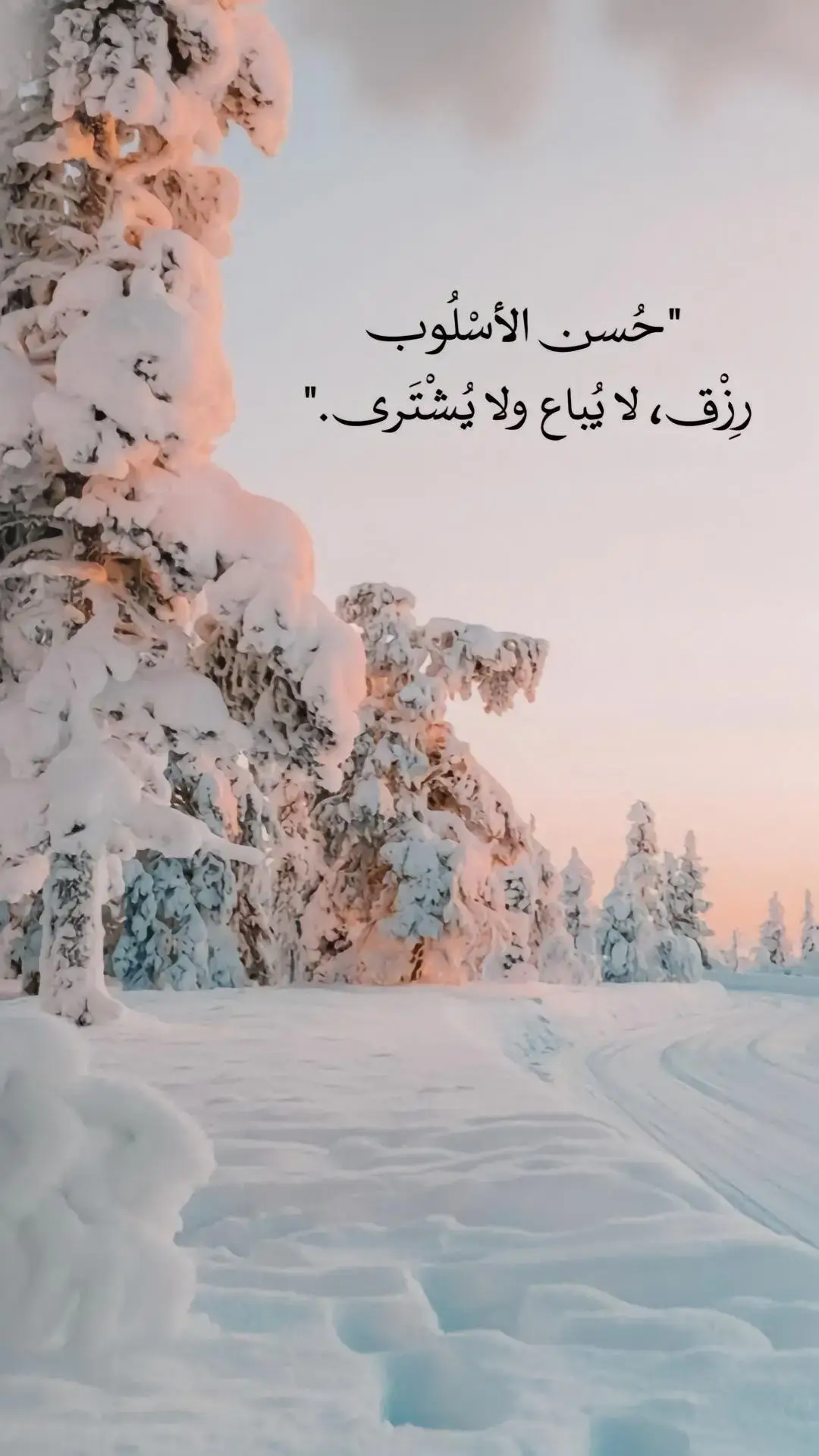 A post by @3ibaratjamilah on TikTok caption: #في هذا اليوم #تصميم_فيديوهات #اكسبلور #دويستوفسكي 