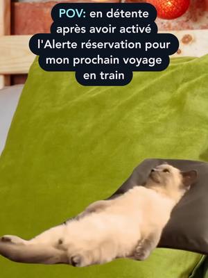 A post by @sncfconnect on TikTok caption: Gardez l’esprit tranquille avec l’alerte réservation de SNCF Connect ! 🔔Planifiez vos voyages sans surveiller les dates d’ouverture des ventes. L’alerte réservation de l’appli SNCF Connect s’en charge pour vous et vous avertit dès que vos billets sont disponibles.📲🚆 #SNCFConnect #AlerteRéservation #Meme