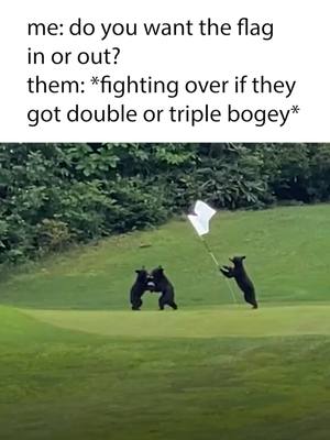 A post by @teeboxtreasures on TikTok caption: 🐻⛳ I don't know if you can ask them if you can play through, unfortunately... #golf#golftiktok #golfer #funnyvideo #wildlife #bear #cute#golfcourse#northcarolina| CREDIT: @ardenbotha