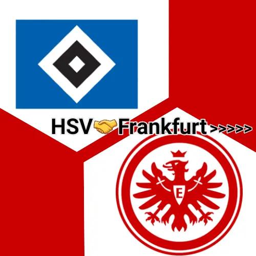 A post by @hsver_zone on TikTok caption: HSV🤜🤛Frankfurt  scheiss stpauli #hsv #frankfurt #stpauli #banner #ultras #bundesliga #scheissstpauli🤢 #hsvforever #goviral #fyy #foryou #foryoupage #xcyzba #football #Soccer #fürdich #footballtiktok #footballtogether 