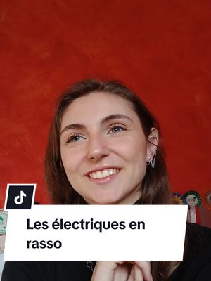 A post by @sylvananie on TikTok caption: Les piles n'ont rien à faire sur un rasso de thermique, c'est des voitures que l'on vient admirer, pas des aspirateurs. #foryou #pourtoi #tiktok #❤️ #car #rasso #voiture #thermique #motor #automobile #automoto #🚘 